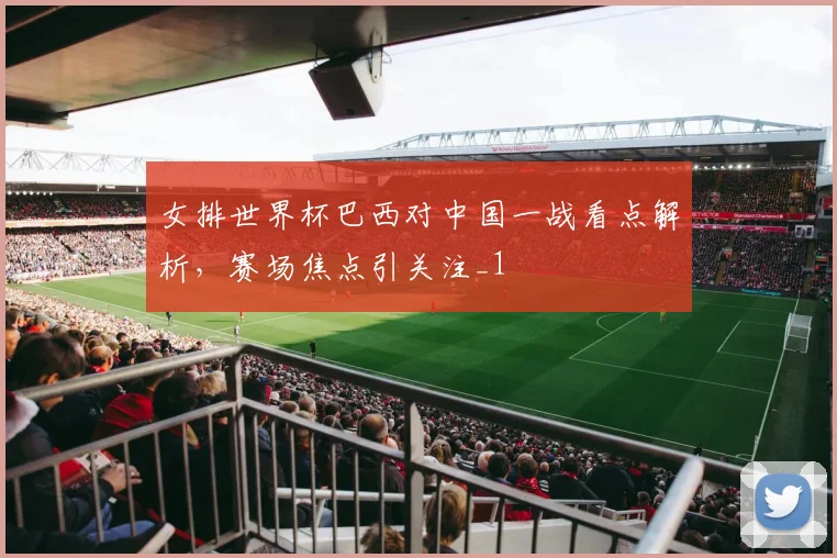 女排世界杯巴西对中国一战看点解析,赛场焦点引关注_1