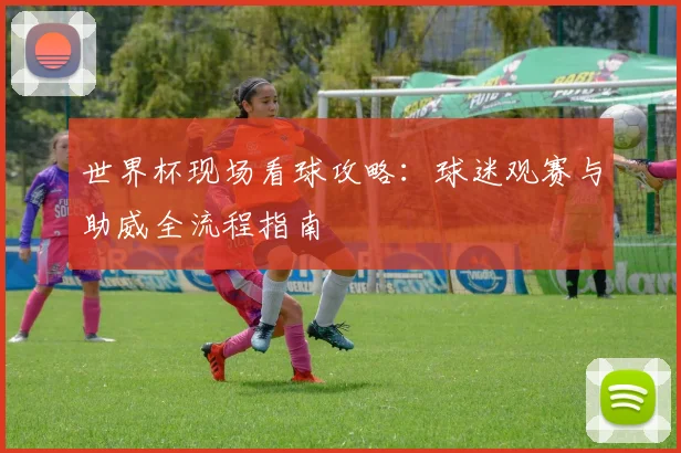 世界杯现场看球攻略：球迷观赛与助威全流程指南
