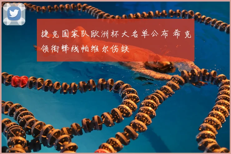 捷克国家队欧洲杯大名单公布 希克领衔锋线帕维尔伤缺