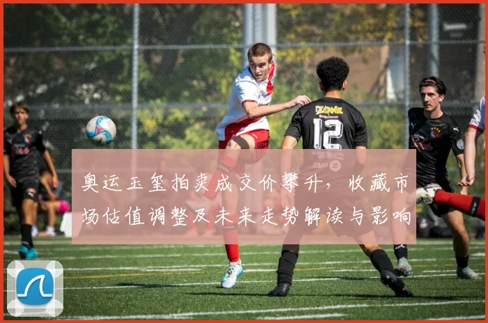 奥运玉玺拍卖成交价攀升，收藏市场估值调整及未来走势解读与影响分析